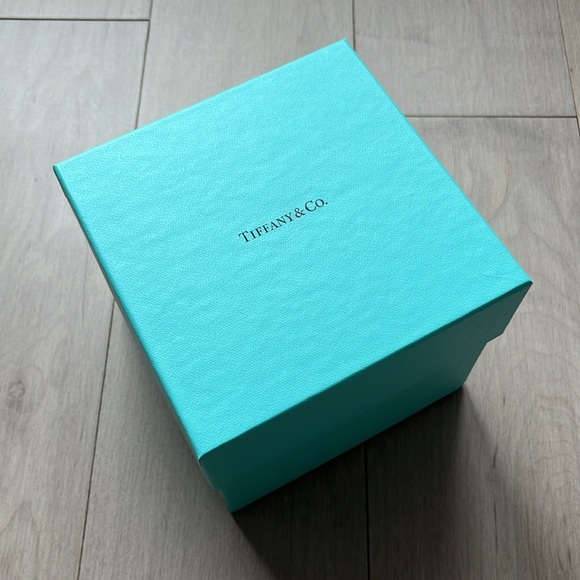 NEW Tiffany & Co Apple Crystal Paper Weight - Picture 3 of 6